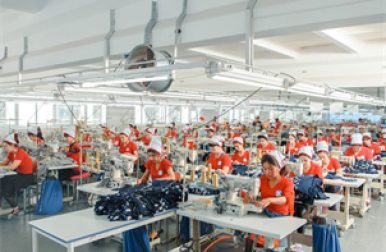 Sewing Workshop